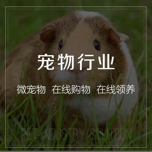 漳州宠物