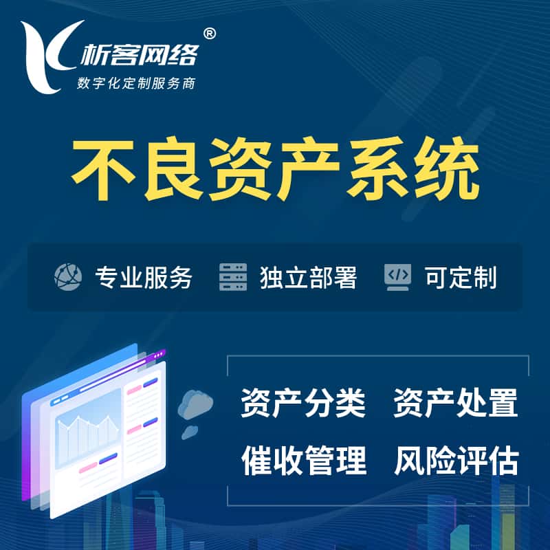 漳州不良资产管理系统