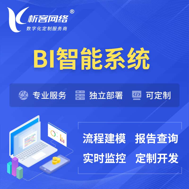 漳州BI智能系统 | BI数据可视化