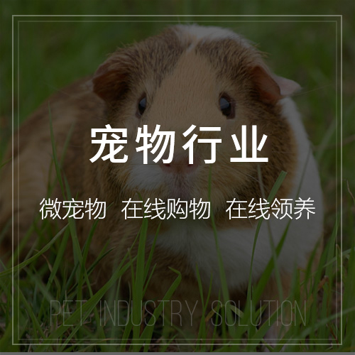 ERP系统如何助力漳州制造业数字化转型